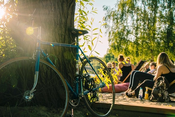 bike-by-tree